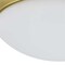Progress Lighting Two-Light 14" Etched Glass Flush Mount P350147-012 - alternate 4